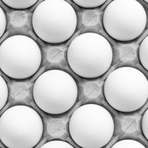 økologiske egg fra langesøy